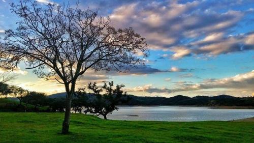 Zufre House | Finca La Vicacaria LIMONERO