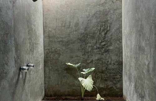 Pluma Hidalgo Other | Finca Pie de Luna