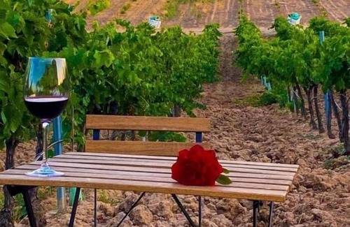 Burujon House | Finca Valdelajara con piscina