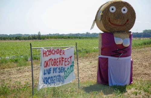 Hofstatten House | Finnish LUXURY log cabin (house 1) in the nature park "Pfälzer Wald" (500 meters high)