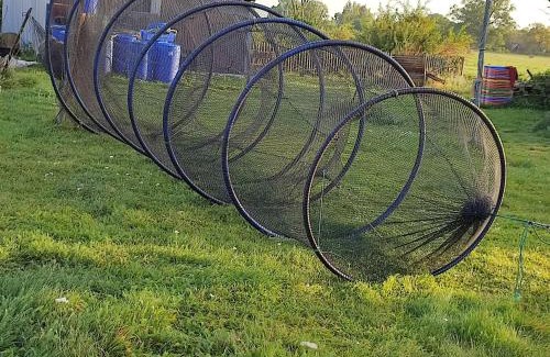 Warthe Apartment | Fischerhaus Warthe