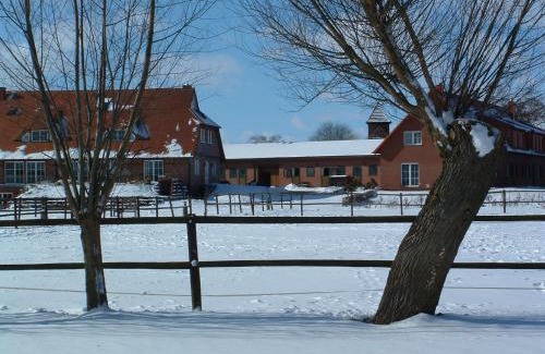 Muritz Hotel | Flair Seehotel Zielow