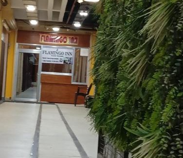 Gorakhpur House | Flamingo inn-KV tower 2nd floor, Paidleganj Kalepur,Kasia road, Gorakhpur