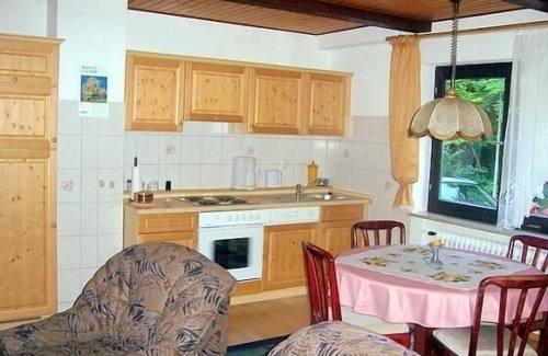 Goessweinstein Apartment | Flat with garden, barbecue and terrace