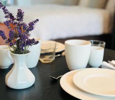 Mehring Apartment | Flussbett - Appartement an der Mosel