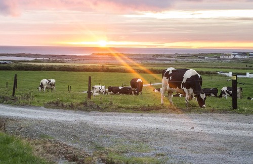 Miltown Malbay House | FLYNN'S COTTAGE, pet friendly, with open fire in Quilty, County Clare