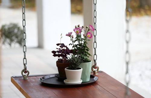 Shoufeng Bed & Breakfast | Focacia BNB