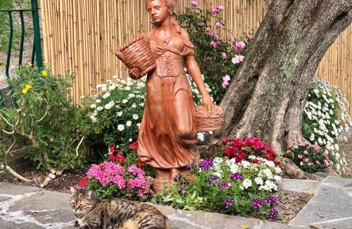 Facciu House | Foglie d'Argento