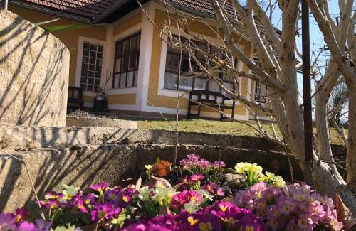 Bierbaum am Auersbach House | Foidlhaus