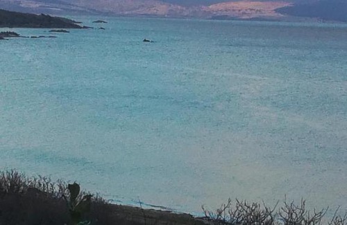 Campbeltown House | Fonn Na Mara