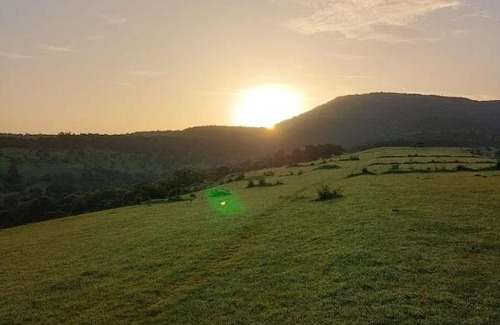 Pune Villa | Forest Home