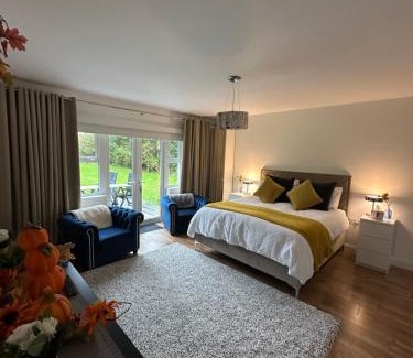 Loughinisland Apartment | Forest Path luxury Studio Apartment with large bedroom bathroom and sauna Sleeps up to 4