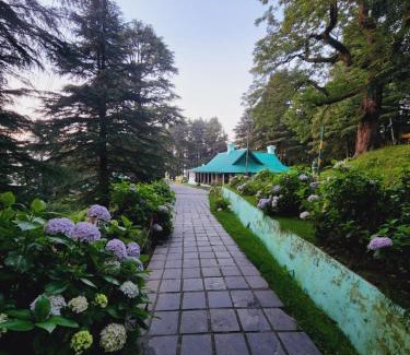 Dalhousie Hotel | Forest Vibes Kalatop-Rooms And Restaurant