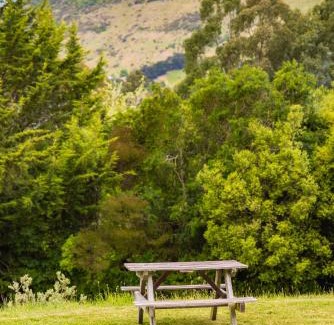 Little River House | Forest View - Spacious & private full home retreat