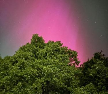 Harzgerode Apartment | Forsthaus Neudorf
