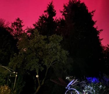 Harzgerode Apartment | Forsthaus Neudorf