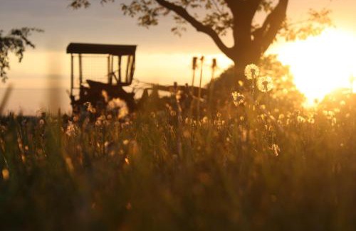 Teterow Apartment | Forsthof Niendorf