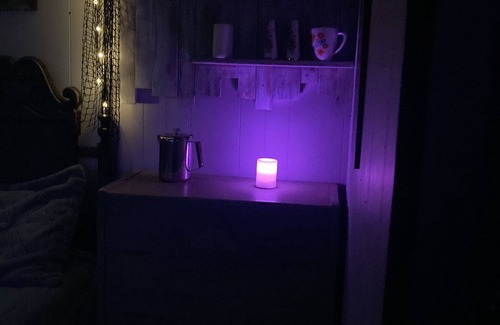 Division No. 11 Ski Chalet | Foxy Den Chalet Cabin - 1 roomnNestled in the valley Pet friendly! Off grid camp