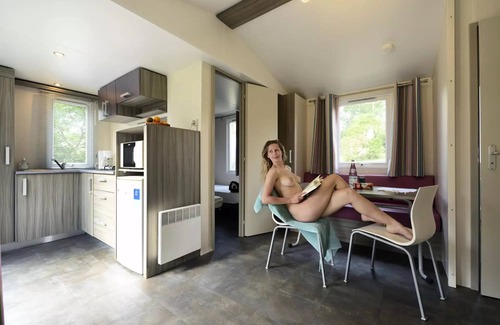 Saint-Martin-Lars-en-Sainte-Hermine House | Mobil Home Confort Nalliers - 2 bedrooms 4 people