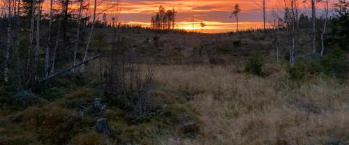 Fredrika Villa | Fredrika Jakt&Fiske