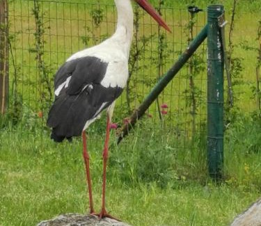 Gerswalde Apartment | Friedenfelder Nest