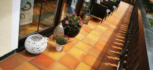 Waldershof Apartment | Friedrichsruh