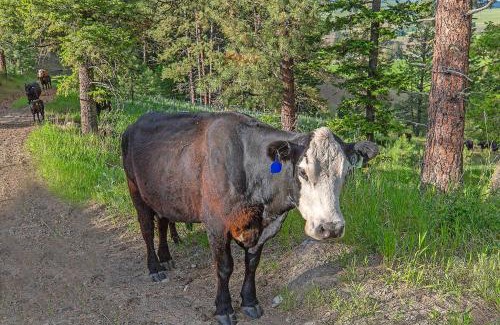 Oroville House | Frontier Cabin