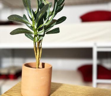 Downtown Los Angeles Hostel | Fruit Hostel