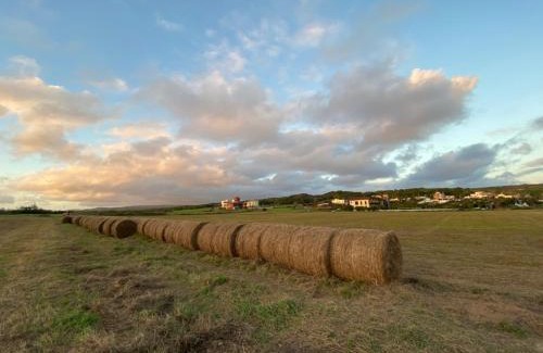 Eluan Bed & Breakfast | Fun Cows