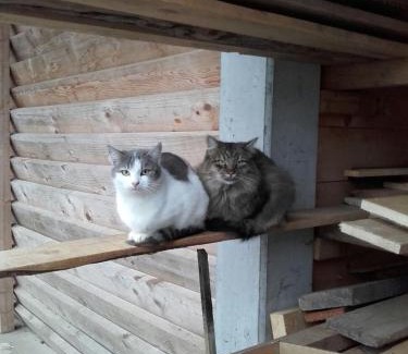 Loipersdorf bei Fuerstenfeld House | Gästehaus Waldblick
