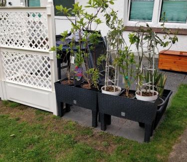 Raben Steinfeld Apartment | Gästehaus am Teich