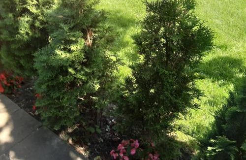 Neuenhagen bei Berlin House | Gästehaus im Grünen