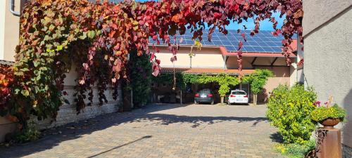 Ober-Florsheim Hotel | Gästehaus Schröder