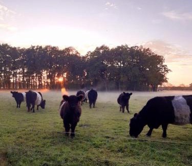 Markische Heide Apartment | Gästesuite „Torfstich“