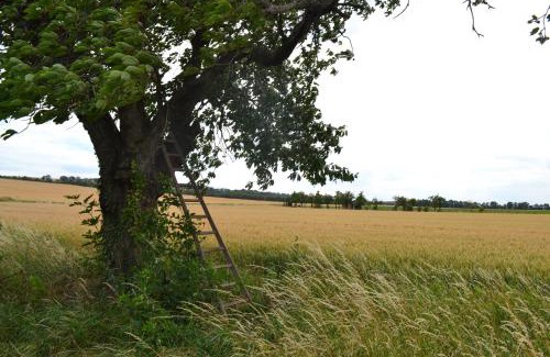 Huy Cabin | Gästhaus