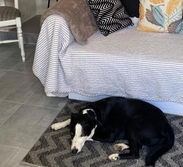 Saint-Hilaire-des-Loges House | Gîte des Hirondelles