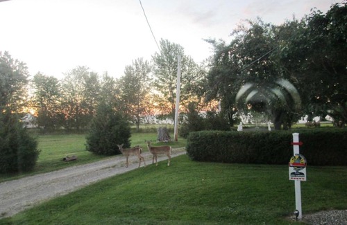 Port-Daniel Bed & Breakfast | Gîte Les Acres Tranquilles B&B