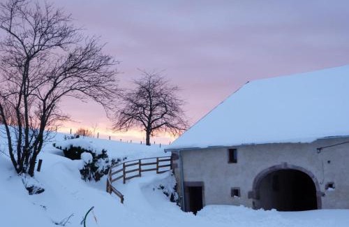 Corravillers House | Gîte Vosges : nature, cheminée, animaux acceptés - FR-1-583-379