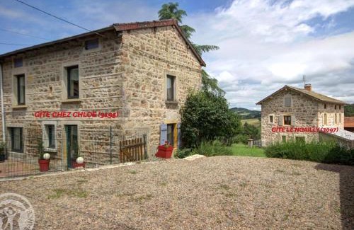 Belmont-de-la-Loire House | Gîtes confortables avec piscine, accueil animaux, cheminée, jardin - FR-1-496-140
