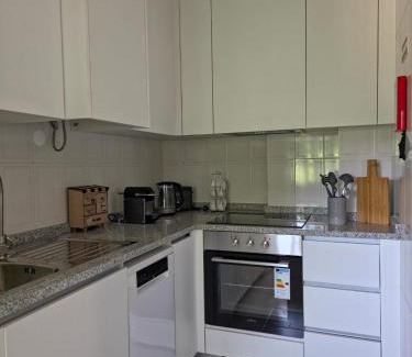 Caldas da Felgueira Apartment | Garça-Real