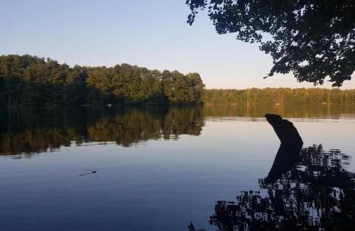 Wandlitz House | Garden house surrounded by greenery