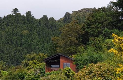 Picton Villa | Garden View Cottages