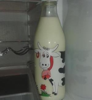 Sankt Kathrein am Offenegg Apartment | Gartenwohnung auf der Sommeralm