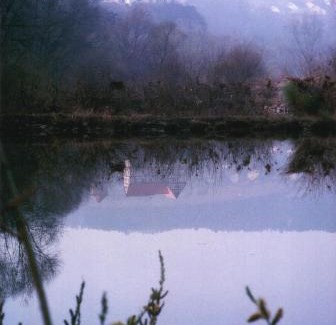 Triefenstein Hotel | Gasthaus Zum güldenen Rößlein