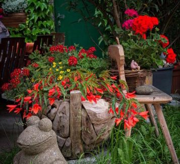 Hoersching Hotel | Gasthof Mandorfer