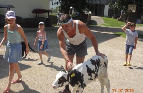 Mittertrixen House | Gasthof Pension Rabl