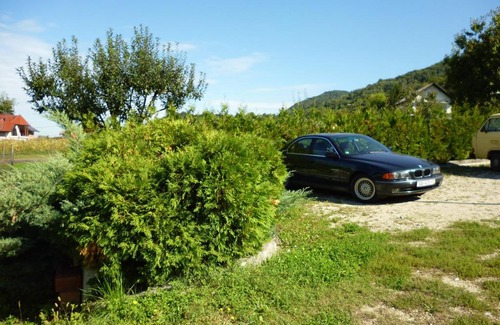 Ivanec Bistranski House | Gec II