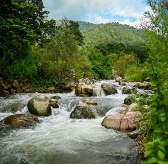 Pauri House | Geeta Ji Home Stay