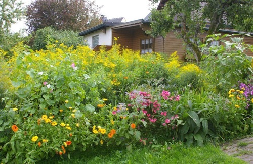 Nagel Apartment | Gemütliche 35qm Ferienwohnung mit Terrasse, naturnah