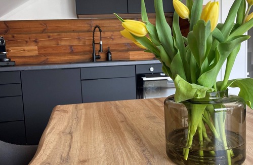 Stryck Apartment | Gemütliche Ferienwohnung im Stryck am Skykwalk Willingen Haustierfreundlich!